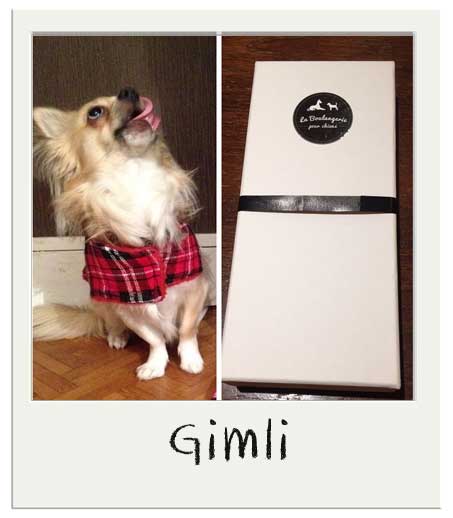 Gimli avec son coffret cadeau chien